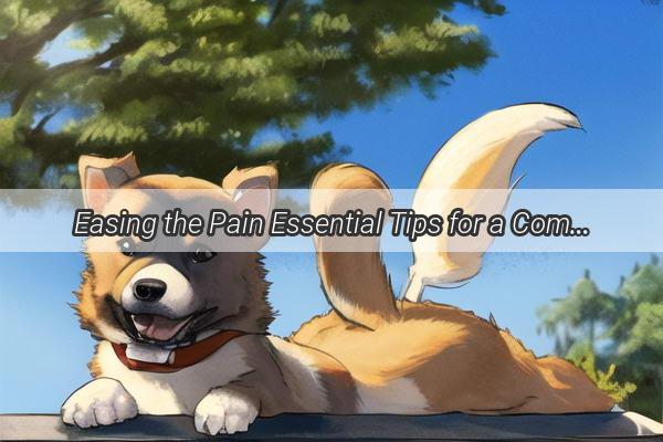 Easing the Pain Essential Tips for a Comfortable Dog Delivery Experience